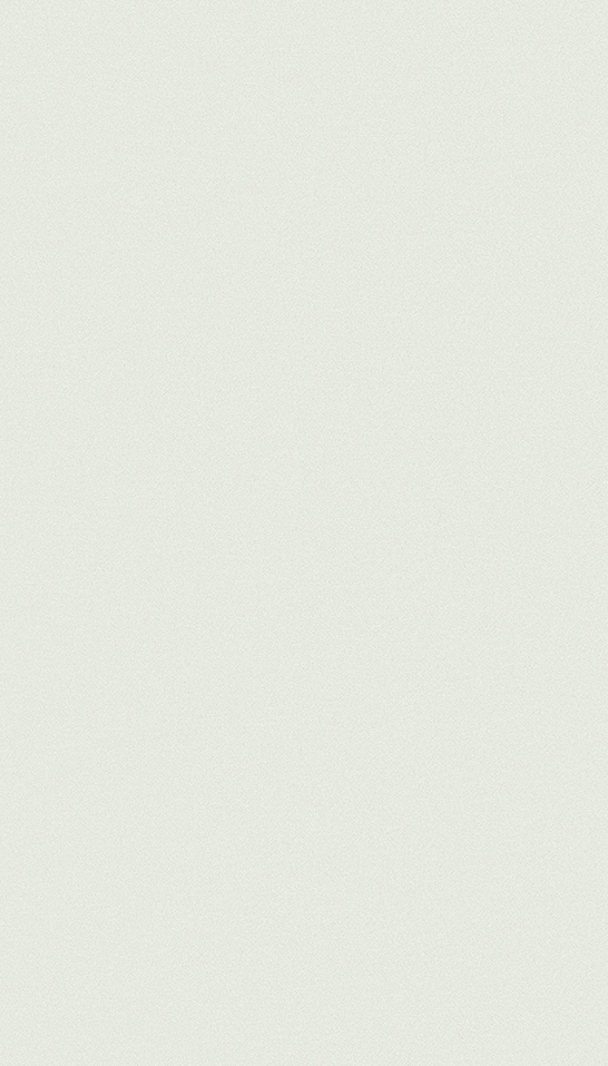 Blanco rueda