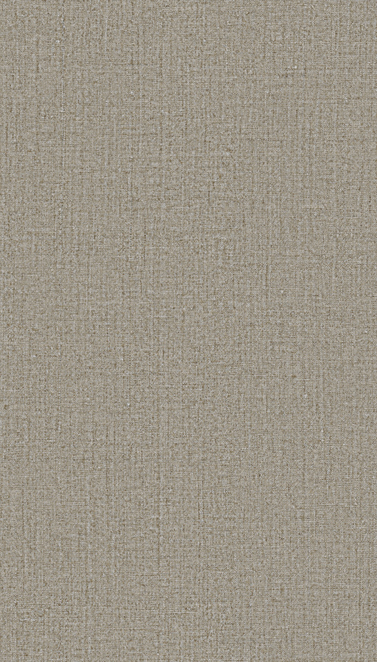 Canvas pardo