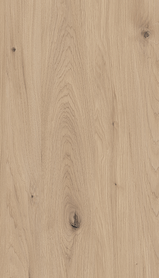 Carya wood