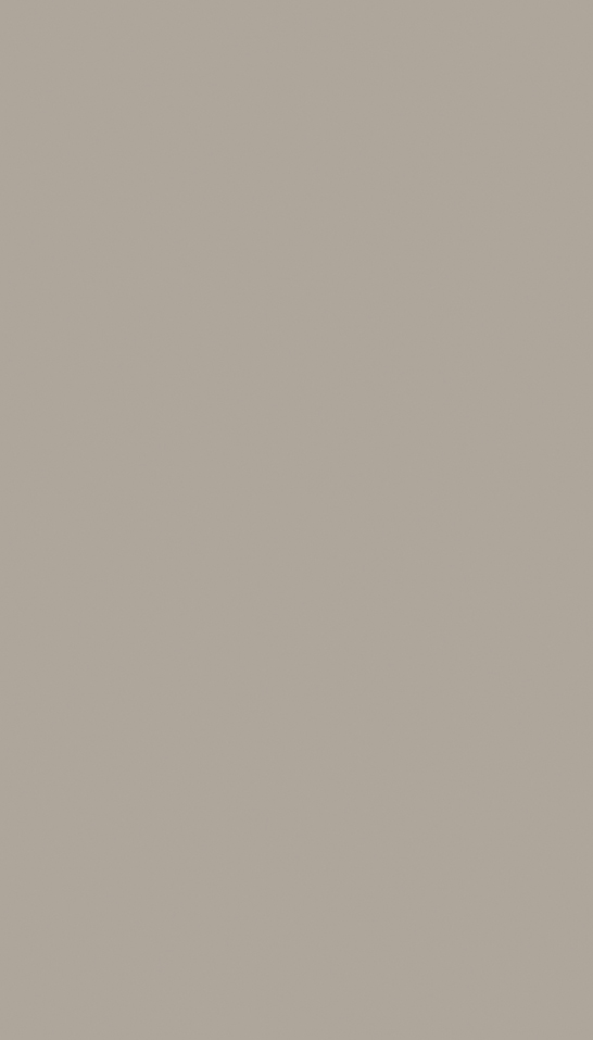 Dune beige technical